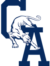 TSA Logo